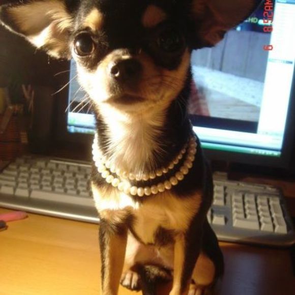 Meet your Posher, Ningning - Picture 1 of 1